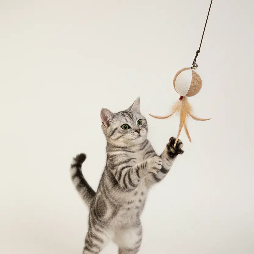 Juguete Vara Madera Para Gatos - Miau Club