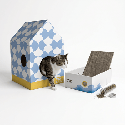 Combo Territorio Miau | El setup completo para tu gato - Miau Club