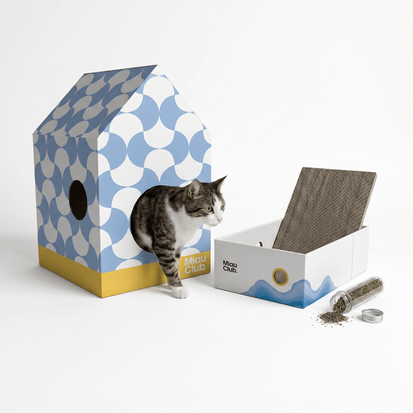 Combo Territorio Miau | El setup completo para tu gato - Miau Club