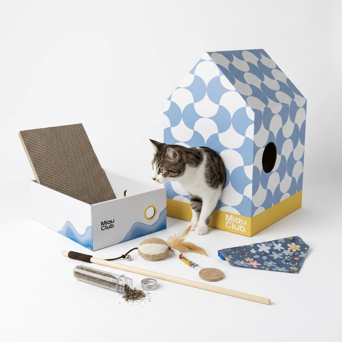 Combo Kit Completo Miau | El regalo más completo para un gato - Miau Club