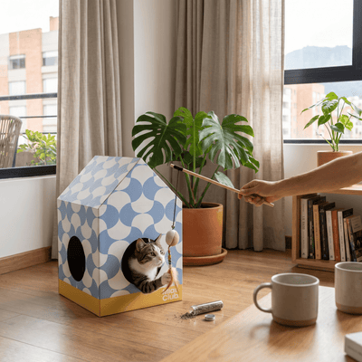 Combo Casita Activa | Para quienes ya tienen su Rascador MIAU - Miau Club