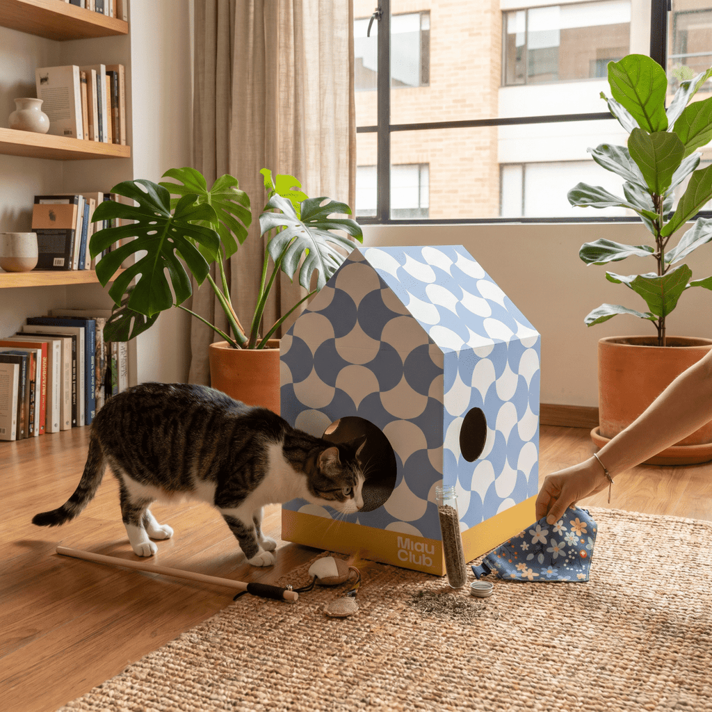Combo Kit Completo Miau | El regalo más completo para un gato - Miau Club