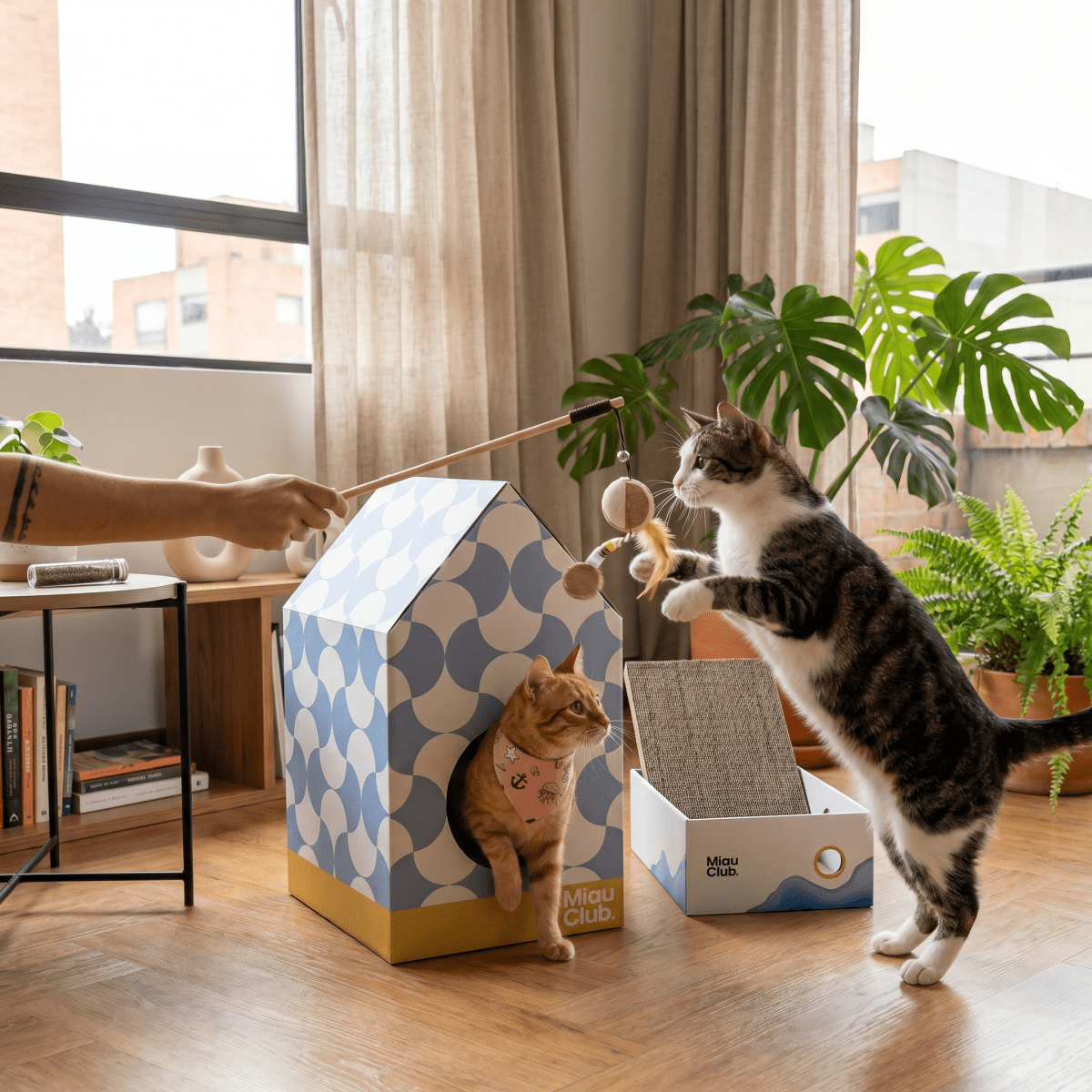 Combo Kit Completo Miau | El regalo más completo para un gato - Miau Club