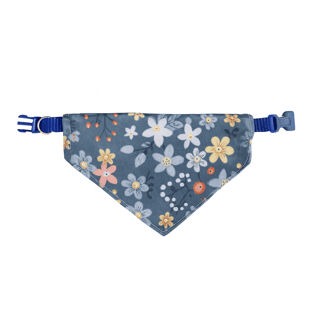 Combo Spa Miau - El combo más completo para mimarlo 🎖️ - Miau Club