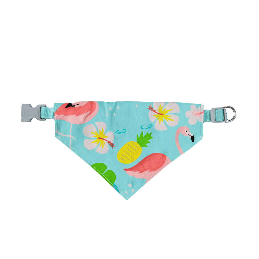 Combo Spa Miau - El combo más completo para mimarlo 🎖️ - Miau Club