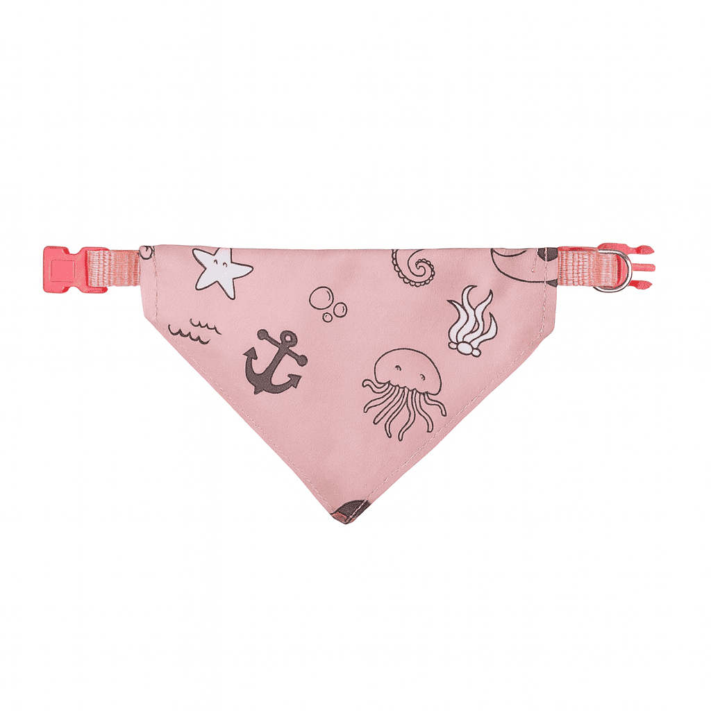 Combo Spa Miau - El combo más completo para mimarlo 🎖️ - Miau Club