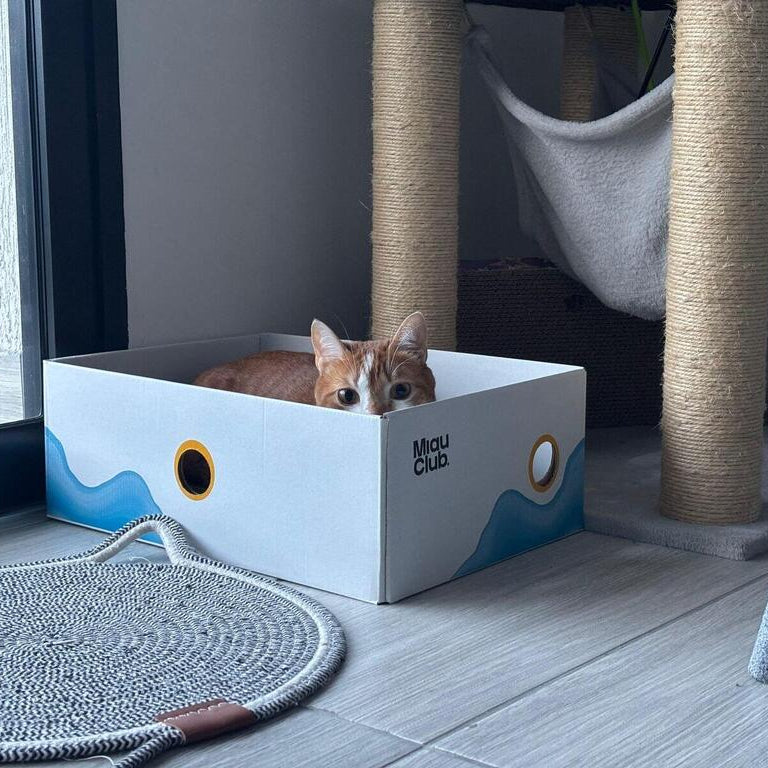 rascador para gatos miau club 3 en 1 usado con mas rascadores